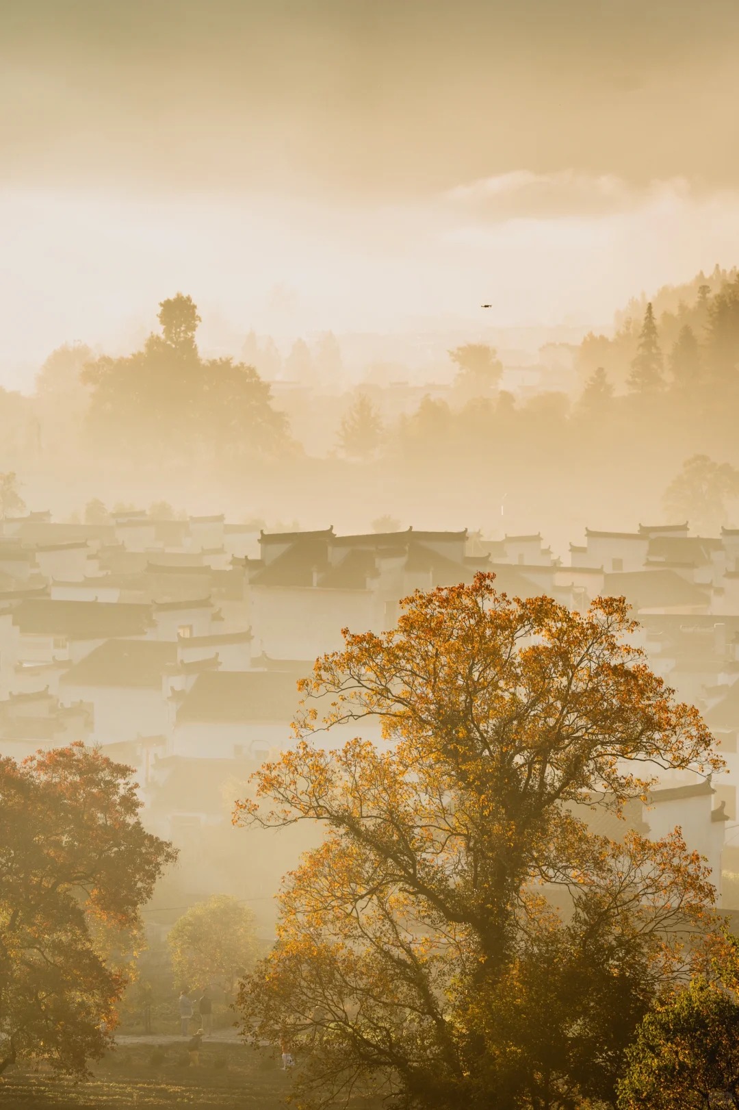 11.12日-卢村晨雾实况_3_葉_安徽徽州-来自52tours 我爱旅游网